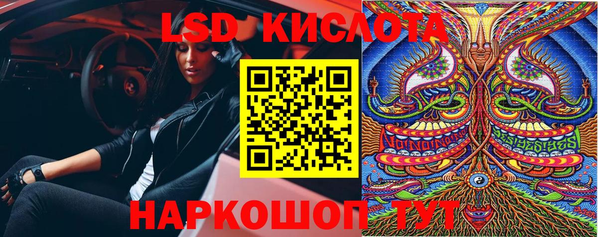 Псилоцибиновые грибы Белорецк