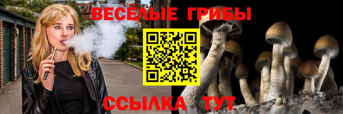 цена   Псилоцибиновые грибы прущие грибы  Вход с VPN  Псилоцибиновые грибы мицелий  Белорецк 