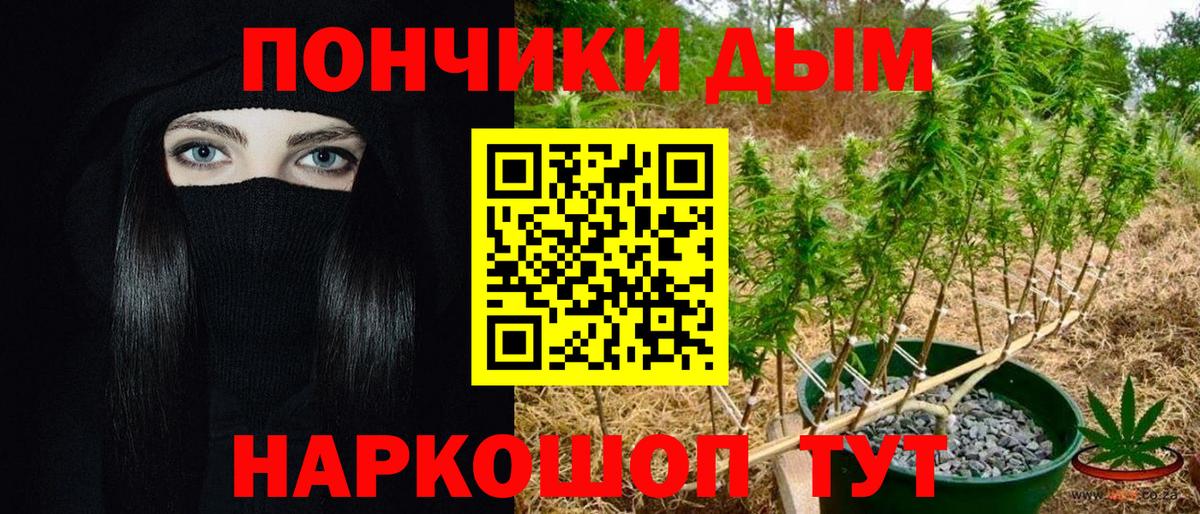 Каннабис семена  Каннабис семена  Белорецк  Бошки Шишки MAZAR 